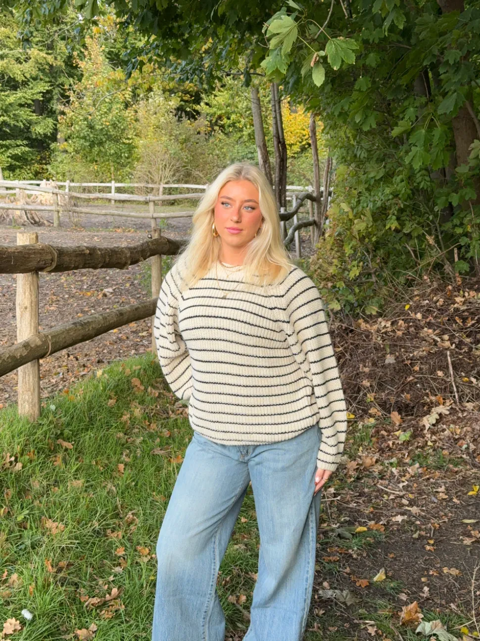Calva striktrøje med striber - Beige/sort